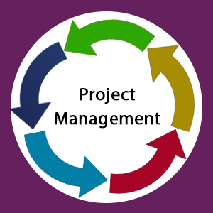 Virtual Project Management - Digital Marketing Consultant | Online ...